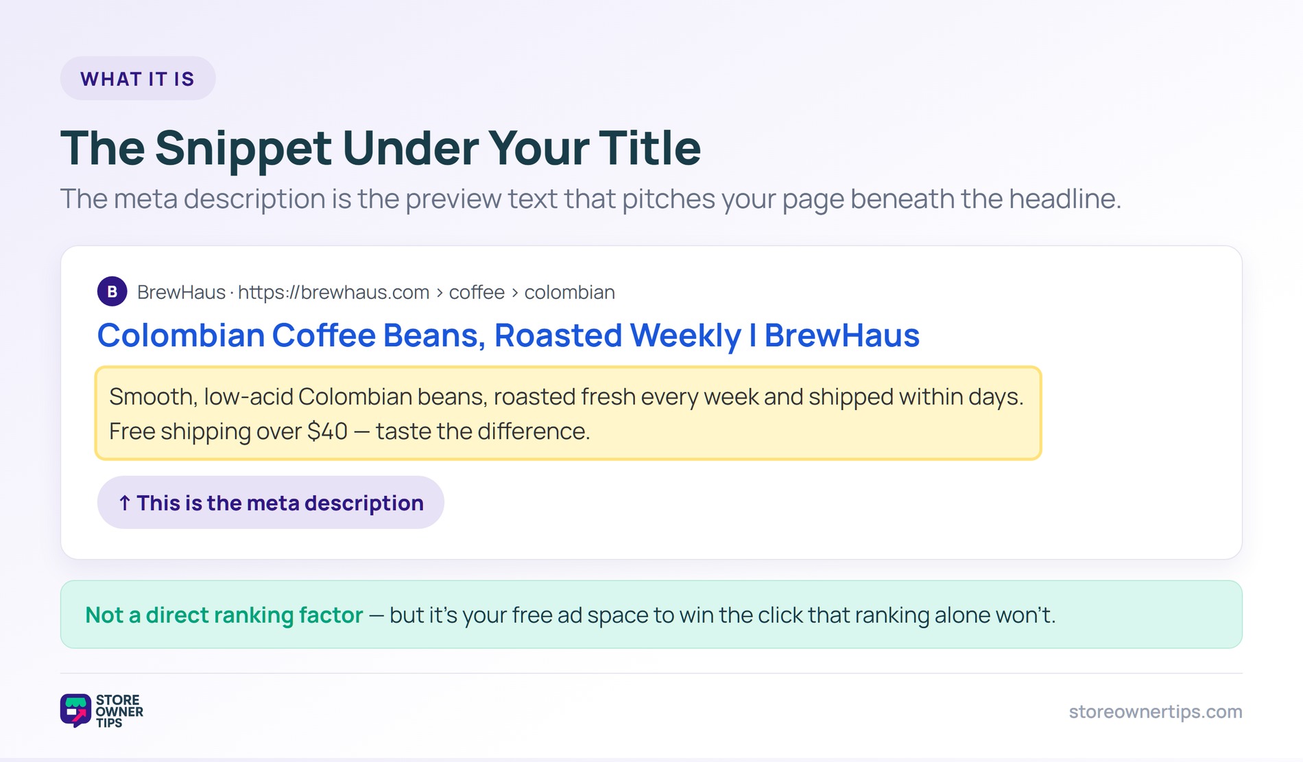 What a meta description is - Store Owner Tips Mock search result with the meta description snippet highlighted beneath the title and URL