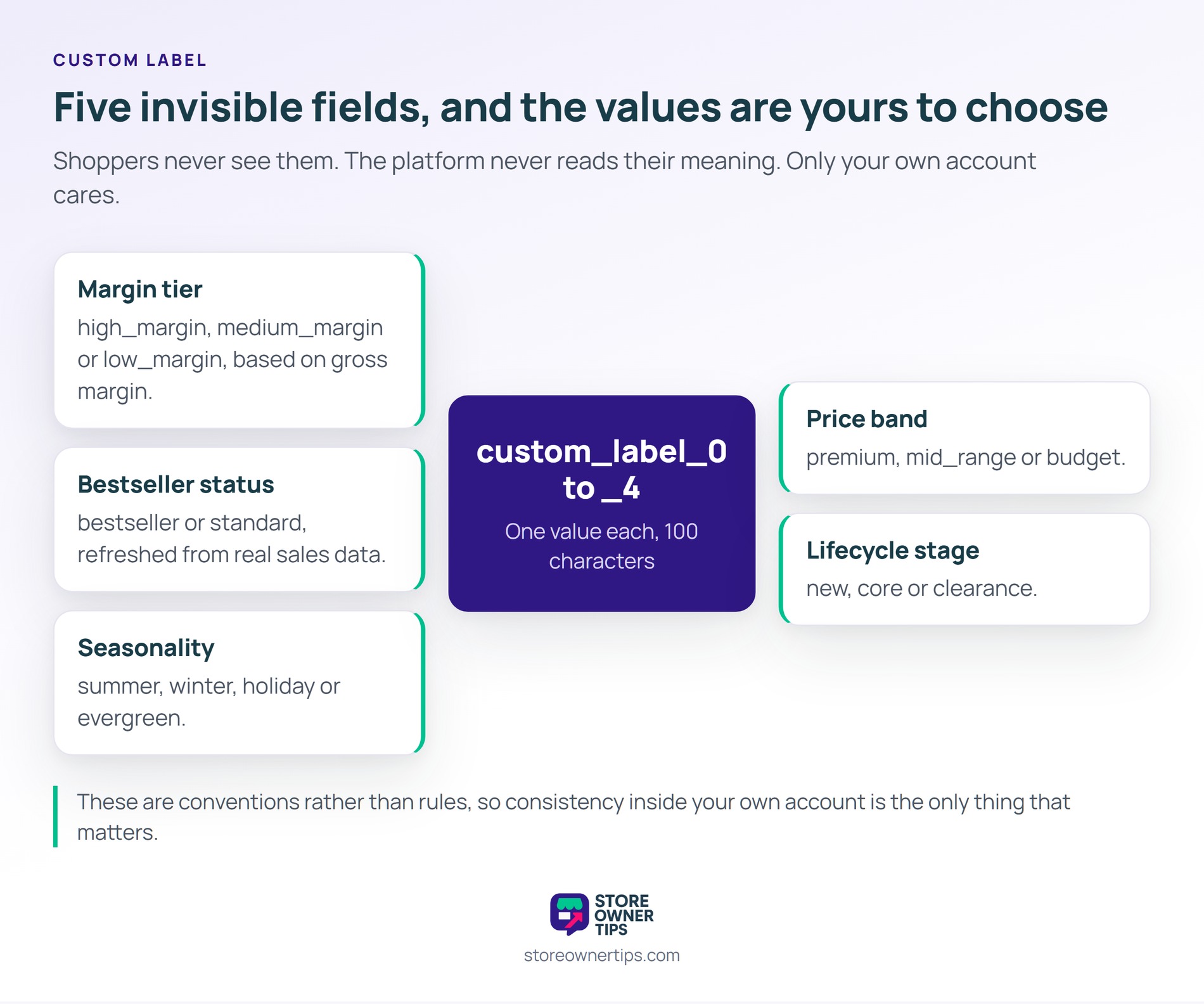 Hub-and-spoke diagram of the five custom label fields surrounded by the values stores use: margin tier, bestseller status, seasonality, price band and lifecycle stage.